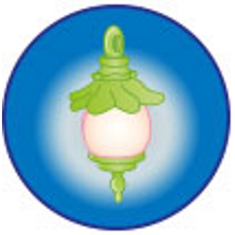 Playmobil 5447 Healing Fairy Elixia in Animal Forest