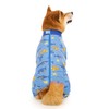 Pupsooft Recovery Suit for Dogs Full Zipper, Four-Legged Onesie Dog