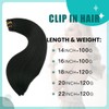 SURNEL Clip in Extensions Human Hair 22 inch Clip in