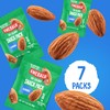 Emerald Nuts Whole Almonds 7ct (1-Pack), 100-Calorie Individual Packs, Kosher