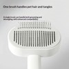 HomeCraft Cat Grooming Brush Self Cleaning