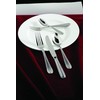 Fortessa Caviar 18/10 Stainless Steel Flatware Solid Handle Table Knife,