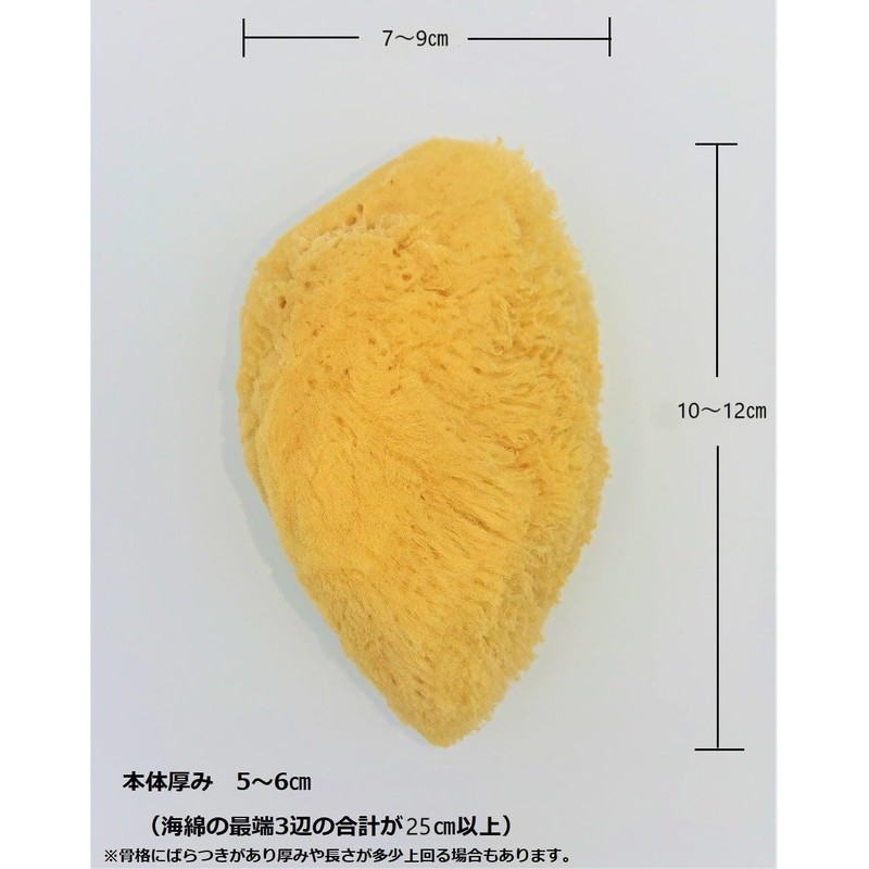 Natural Sea Cotton Body Sponge Made in Greece