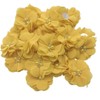 Lmlliang 10pc Chiffon Flower Yellow Rhinestone Pearl Flat-Back Chiffon Flower
