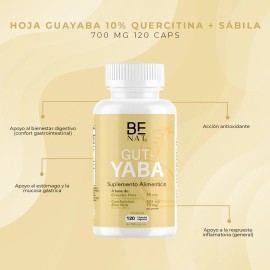 Hoja Guayaba 10 Quercitina  Sbila Benat 700 Mg 120 Caps                                                                                               