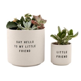 Santa Barbara Design Studio Ceramic Planters for Indoor Plants Small Plant Pots, Set of 2, Say Hello to My Little Friend