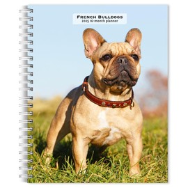 French Bulldogs | 2025 6 x 7.75 Inch Spiral-Bound Wire-O Weekly Engagement Planner Calendar | New Full-Color Image Every Week | BrownTrout | Animals Dog Breeds Pets