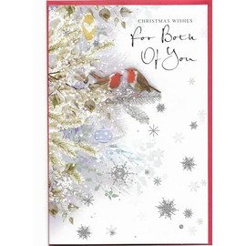 Christmas Card For Both Of You 23 x 15 Cm (9 x 6 inches) Christmas Wishes for Both Of You Robins