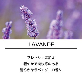 Esteban Esprit Natural Lavender Sticks 40 Incense Sticks with Incense Holder Made in Japan