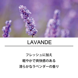 Esteban Esprit Natural Lavender Sticks 40 Incense Sticks with Incense Holder Made in Japan