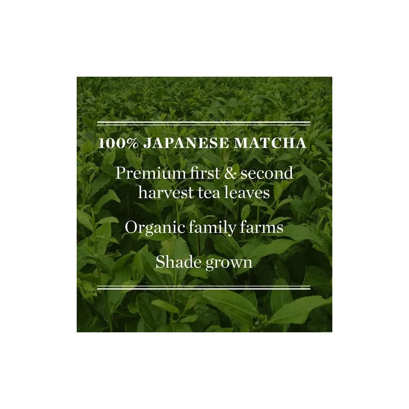 Mighty Leaf Té Verde Matcha Orgánico En Polvo 85 G