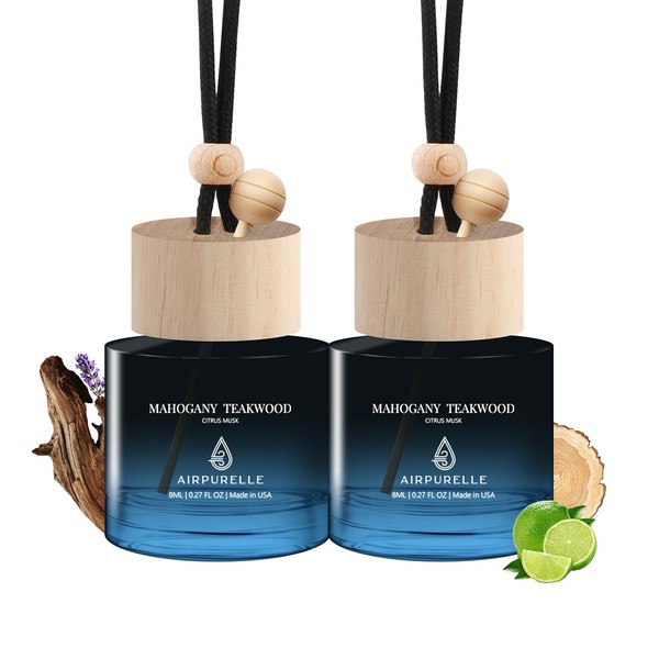 Car Air Freshener Hanging 2 Pack Air Fresheners Diffuser -