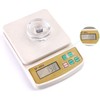 Yesland 9 Pack Fermentation Glass Weights with Easy Grip Handle,