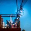 Abeja G40 Replacement Light Bulbs, 5W Clear Globe Bulb fits