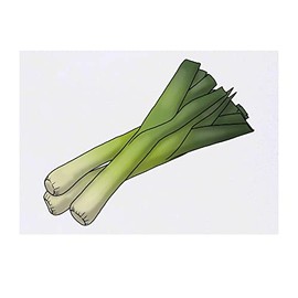'Leeks' Temporary Tattoo - Water Resistant, Skin-Safe, Non-Toxic Transfer (TO00056941)