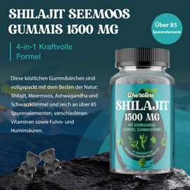 Shilajit Sea Moss and Ashwagandha Gummies 1500 mg per Serving, Enriched with 60% Fulvic Acid & 85+ Trace Elements, High Dose Complex for Energy, More Practical than Resin (Pack of 60 (Pack of 2)