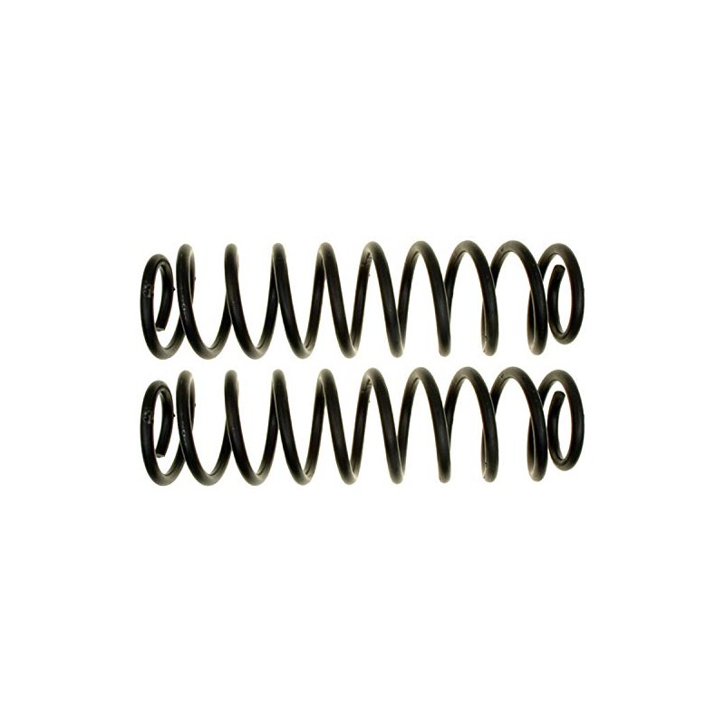 MOOG 81075 Coil Spring Set for Ford Mustang