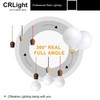 CRLight 15W Dimmable LED Large Globe Bulb 3000K Soft White,