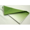 hurosiki Gradient Green 100x100 cm 01463 