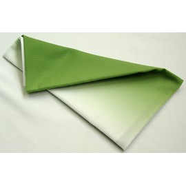 hurosiki Gradient Green 100x100 cm 01463 