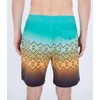 Hurley Men's Board Shorts, Fiji, 32