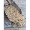 Roasted Soybeans, Non-GMO (46 lb)