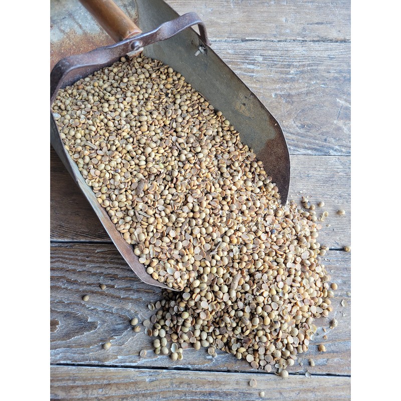 Roasted Soybeans, Non-GMO (46 lb)