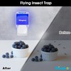 Flying Insect Trap Plug-in Fruit Fly Trap for Indoors with