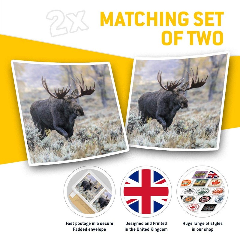 46433 Square Stickers (Pack of 2) 10cm - Wild Bull