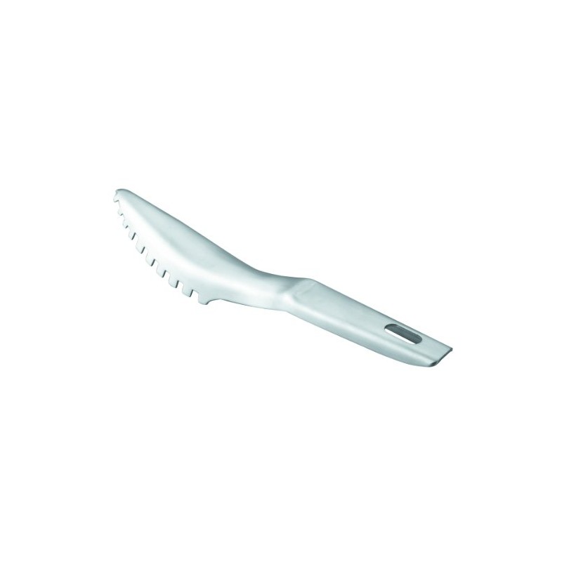 Lacor 39040 Schaber für Fische, Edelstahl 19 cms