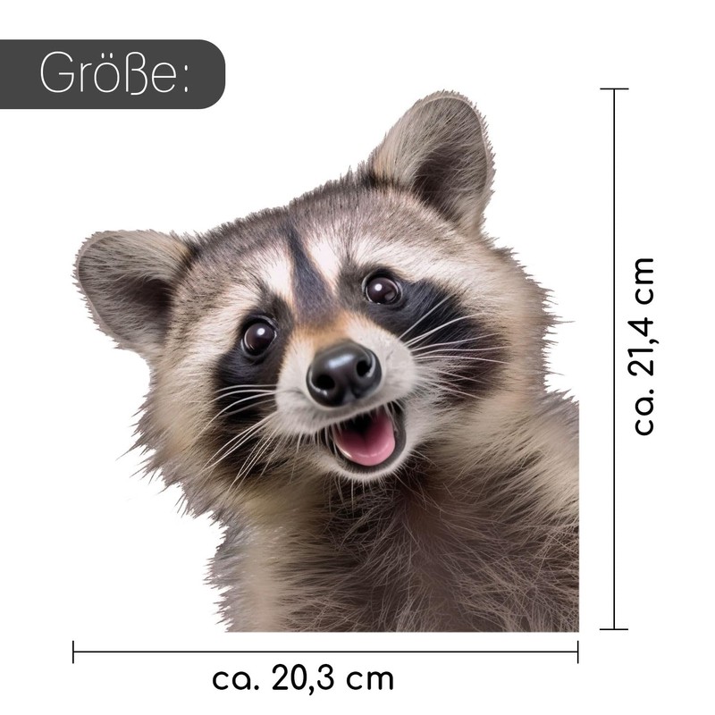 Window Sticker Funny Raccoon I Colourful on Both Sides I