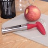 Apple Corer Remover for Pears Apple Pear Durable Portable Stainless