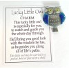Ganz "Lucky Little Owl" Charm Pocket Token +Card Pick Blue
