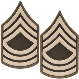 Army AGSU Master Sgt E-8 Cloth Rank Female
