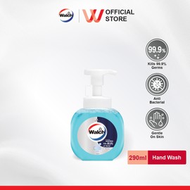 Walch Foaming Hand Wash 290ml - Refreshing