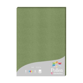 Clairefontaine 24270C - Pack of 25 Sheets of Pollen, DIN A4 210 x 297 210 g/m², Ideal for Your Invitations and Correspondence, Sage, 1 Pack