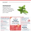 Wondercide - Indoor Pest Control Spray for Home and Kitchen
