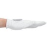 TITLEIST(タイトリスト) Golf Glove Professional Tech Glove TG53WT-22 WT White for