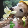 CECE PAW Interactive Dog Plush Toys, Crinkle Flower Dog Rope