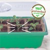 Back to the Roots 10-Cell Greenhouse Germination Kit | Includes
