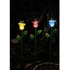 Joyathome Outdoor Solar Garden Stake Lights, 2 Pack Solar Powered