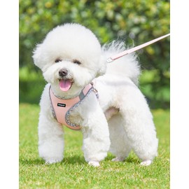 Petank Dog Harness for Small Medium Dogs No Pull, Puppy Harness and Leash Set, Easy Walk Dog Harness for Walking, Running, Training, Small Dog Harness, Medium Dog Harness (Pink, XXS)