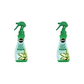Miracle-Gro 100720 Leaf Shine (6 Pack), 8 oz Pack of 2