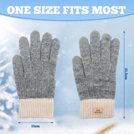 VEGCOO 2 Pair Women Touch Screen Knitted Gloves, Ladies Winter Knitted Warm Gloves, Touchscreen Thermal Gloves for Women Driving Outdoor Office (apricot+gray)