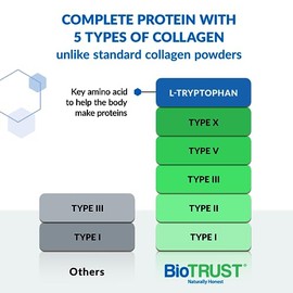 BioTrust Péptidos De Colágeno Multivitamínicos Ageless En Polvo – Tipos I, Ii, Iii, V, X – Colágeno En Polvo Sin Sabor Para Mujeres Y Hombres – Proteí