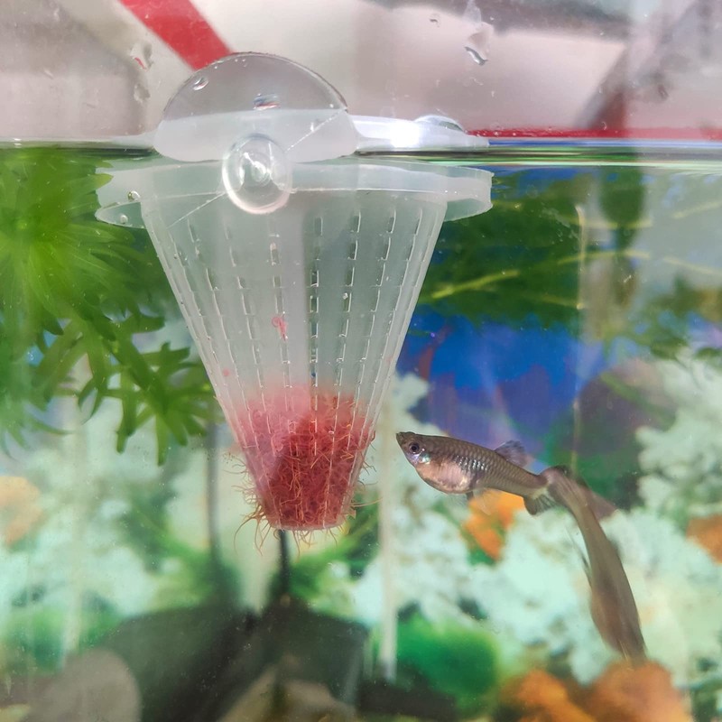 WEAVERBIRD 4PCS Aquarium Nematode Feeder, Live Blood Worm Plastic Cone