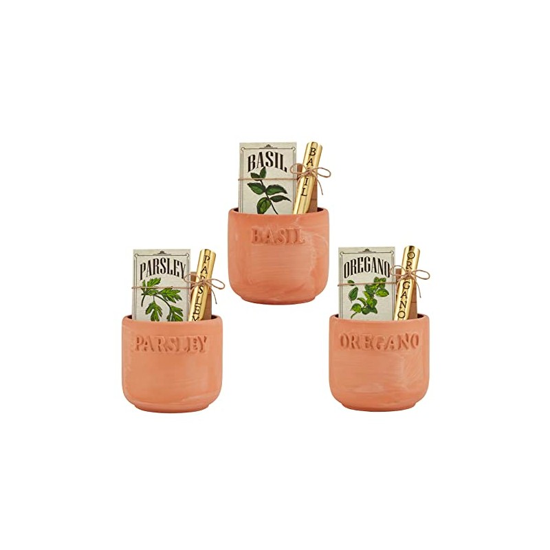 Mud Pie Oregano Herb Planting Set