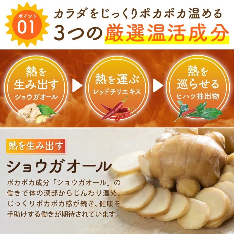 温活 サプリ ひだまりショウガ ぽかぽか成分 配合 ショウガオール レッドチリエキス ヒハツ抽出成分 (約６ヶ月分（360粒）)