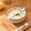 2 PCS Foldable Forks and Spoons Set, Tainless Steel Foldable