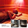 Zenhagu 250W R40 Red Heat Lamp Bulbs (4-Pack), Infrared Heat